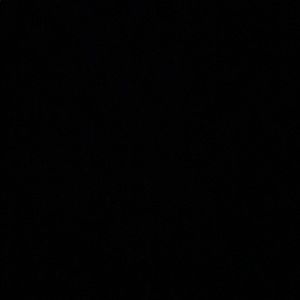 Meet your Posher, Brooklyn